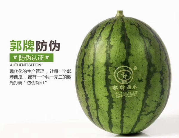 微信圖片_20210319093949.png