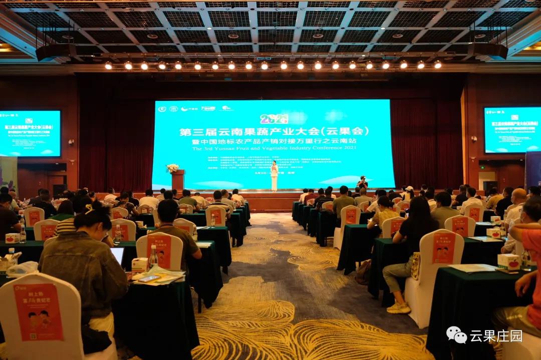 1628047035661618.jpg B.jpg