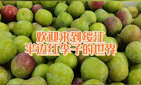 微信圖片_20220715173431.jpg