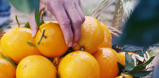 微信圖片_20221103094635.gif