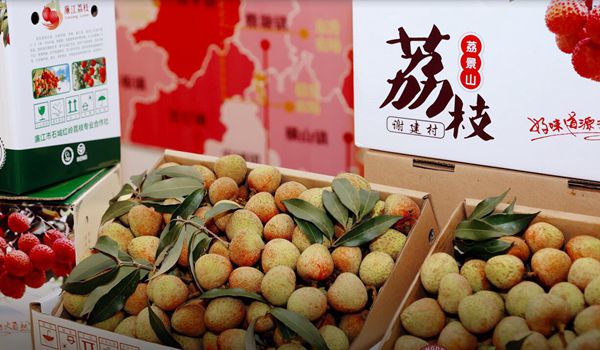 QQ截圖20230515142713_副本_副本.jpg