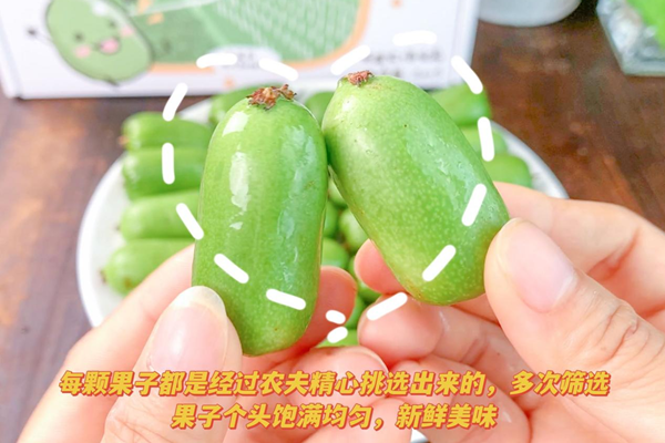 圖片6_副本.png