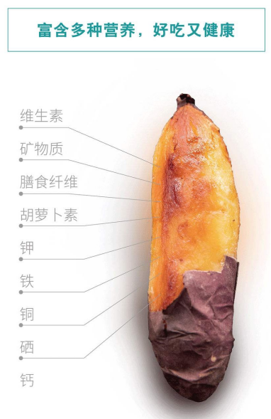 1700704713334421.png 640 (4).png
