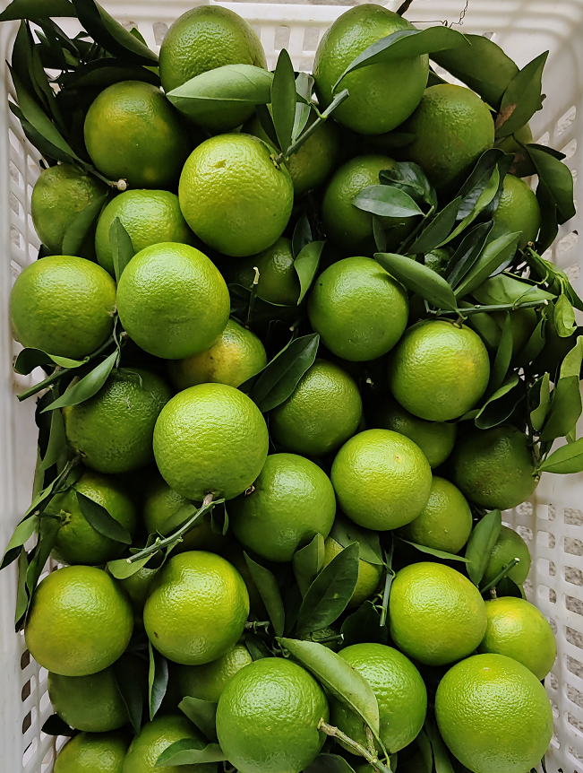 1702716149625480.png 640 (2).png